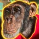 Coin image for GWmDtFQ5PpuWardV8TxegBs3uRJkCRUKuwTrVxmupump