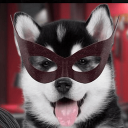 Coin image for GX2amtQYQxytYphpYGMFmGVkoKCAt4uGCbvmffWupump
