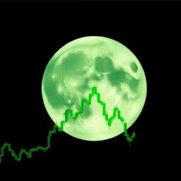 Coin image for GXYumn2MLwGSg41NB6Vc8HibWvmBgQyaFjAAh8a7pump