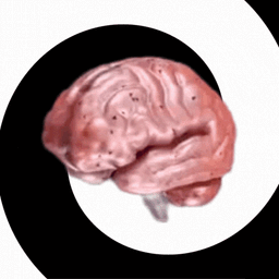 Coin image for GXufcge3QgSAFa3q3jJtoCS9c33p8MVDZoBaJsKxpump