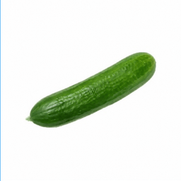 Coin image for GYQkR2cgkpHP5MgfwR4mzJiLhtnwdF5W8qyrrSPjpump