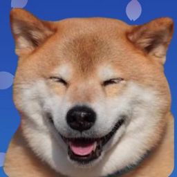 Coin image for GYidC4MH5CgFmvxnjS7xJEvk3SLUrf3tTStAGqTtpump