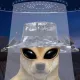 Coin image for GYr3VXrnbrxYdcjfAzTVoWEKrqbTjThsf6JcbveQpump