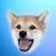 Coin image for GbEwCw8JMZq2Dcbf3XdvDoLpSWPig2hKXuC695v2pump