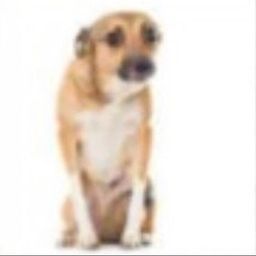 Coin image for GbbTKfLoKrKkfHTpZJJPPFS8bFvaR3ojv19KXj2epump