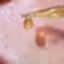 Coin image for Gc67fF3ZbSDp8YGDncNssBjNUoDNASF2oLZD1Gmp7suS