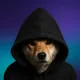 Coin image for Gd3rEdRXyoyR26SEfgsnwap5ibbUBj1zd3ZhiuQ8pump