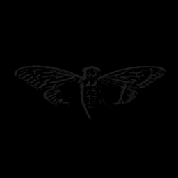 Coin image for GdLuyjph7N1htB3XxcjGYsgZyrYAPRW3wv2MojCDpump