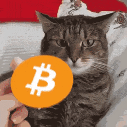 Coin image for GeLSFfhoJCgCNiXWg8p1JRsmKjKyTxBnvrLsCusppump
