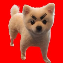 Coin image for GeaaRPxyCgGRhaA3DaWMCSHympiP9SHMypKSfFJBpump
