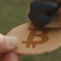 Coin image for GfAdp1EDY98PDWfmCNBmUf2joZWE2uiK8WPyk66tpump