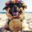 Coin image for GfTkXavQP4kphYT47ifaFrBvxSotygz94vnGhpSUXTmG