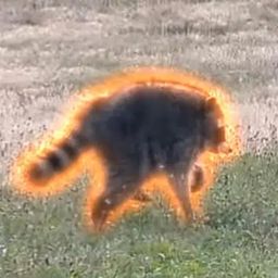 Coin image for GgSXo7UvQCSLaw2K5DngeaicpZCzvfK8KMznt91apump