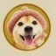 Coin image for GgbzeyrfCfKEi9N3Fdda3JTMjhEBtDMYEnjfnWHhpump