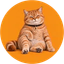 Coin image for Ggc1ydMFUCXdRmBtSG7GfLxD1iHeyk9S4fFRtGXuuYRL