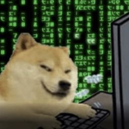 Coin image for GhkN8PtCZRToDDzhbRkZhSRbBrJDae3cbscUXhrXpump