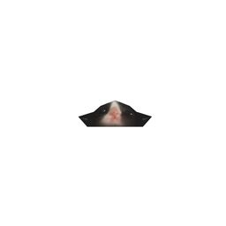 Coin image for GiQMvMsKpn8QNFTPsx4YSyWMqkDtFeeEGnr4GqkGpump