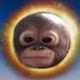 Coin image for Gihvutvj8wvAFLrazDgoHewwfy75ozjv3bGGdr87pump