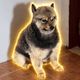 Coin image for GiiPmB96owAxpnfxHUTytqifaQMA2rMASSLhtvDFpump