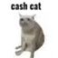 Coin image for GiyNKQCCfGoT9oFSNrqiZ9CVnRM2jUNADzXmeJuxyQMf