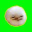 Coin image for GjPwjv1YxEynzbwuabEoFwhFV391nNbbUvGGKKvb2CVA