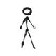 Coin image for Gm2SEwFVEFz7EUkpWzjn3AqwLvgM6LWVQMvHQMGG68LD