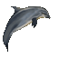 Coin image for GmaAhdLd87f3geuxdBderUyvDxeqXKSN5P2bDdfgpump