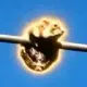 Coin image for Gmgg7QHqXf4WBHVFxKjcLzBbQZs2HFN7YHPbJG8GDVTN
