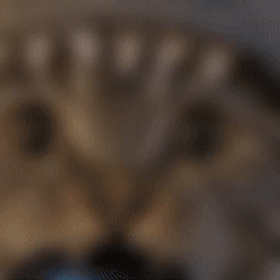 Coin image for GoNhVbssiGouTYBUDLVzFpXqF8aKTEqLS3HxYPffpump