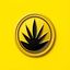 Coin image for GoVqNQSAVJs5bmPy2egoKuN7va57CBrj1xLFzsR2pump