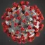Coin image for GrorxywS1jqTJDaVyi2L5Z2vxJszLs5SeGjo5zJSpump