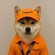 Coin image for GvJPLXDs4mGtrSZ6kQkW2KKMHDj2nNeEHDRHDRPepump