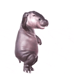 Coin image for GvWh8ooR8uqWDBjXBCs3hTYJkYpiS2eYgepidBs1pump