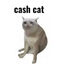 Coin image for GvZQthN9mHnCskRbaEx621nrSgMAfxdebLv5waRQiZ7n