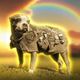 Coin image for Gwei3b2YHshe6aizHPqeQcNPKEUEktvjnqipDfy1pump