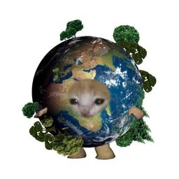 Coin image for Gy5R6cQw8uvutaQvjKab8gmqgmEJNphJzppGNKoHpump