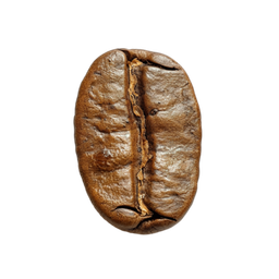Coin image for GynBZjKikef481VTAjLKm6wAwYbfUBQmp2Y952Ptpump