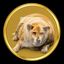 Coin image for GzmkE41E8hkZizXRT7ytuKtNXpG37BXCPeecig74S5mi