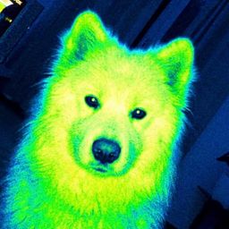 Coin image for H1AeNDdD74cAW6wjrbVCzQQXYF7F9xpWiTWiFCGFpump