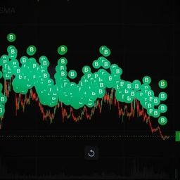 Coin image for H1KnKdvbuiQFbWHJmFojorcE89idmCnYeX46GEKqpump
