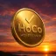 Coin image for H2z9McMHMczTTovRNyUzeYtBEFnstSuG6wnY5w3Ypump