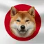 Coin image for H3W3PhbhDZJafJkbdXS75Guvoy1a4Q5SjGwMeZuwwRLd