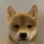 Coin image for H4KnH9rWRRDHz4AwVwdDnpYb9hyBodbhRpBJ1W5Epump