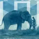 Coin image for H4gv71CBXfLDBMYJEcbceYFcwdmF3zuuS7G7fdN4pump