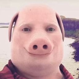 Coin image for H5nQhod5fwDVMHdT6PMfAgS4bowVuUPR5pjCCH8pump