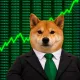 Coin image for H7HR7pYomQKh8GiyW1DKxginM1zgv6zoqz5VVhrgpump