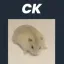 Coin image for H8JvhUNZEcasdYKWmgegY97vP8WcWZKS3qoWf3ASpump