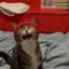 Coin image for H8cnZtNCVz8NDRm4tfYjFQ3T3WXsu7CzFQRyVjeqYWY3