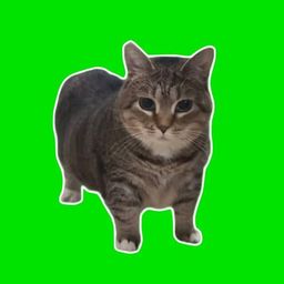 Coin image for H8yFuH6MkVWf2jga3n1ddthuqvHaPsqc4KWcSbitpump