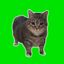 Coin image for H8yFuH6MkVWf2jga3n1ddthuqvHaPsqc4KWcSbitpump